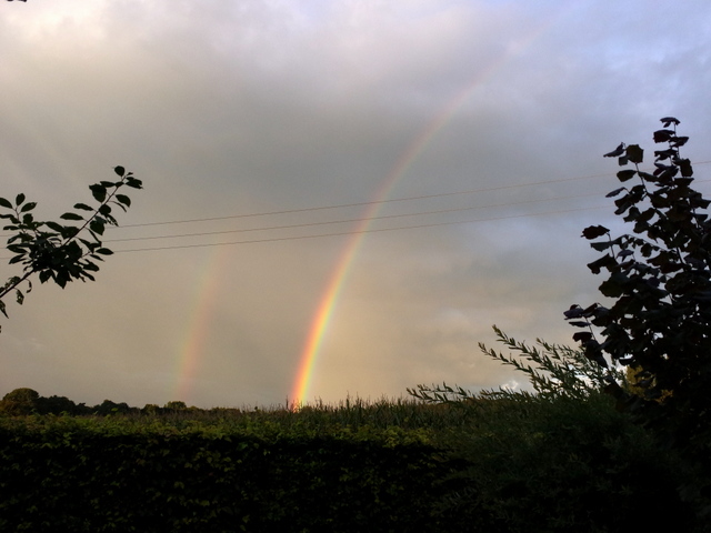20150914_192047 Winterlinge